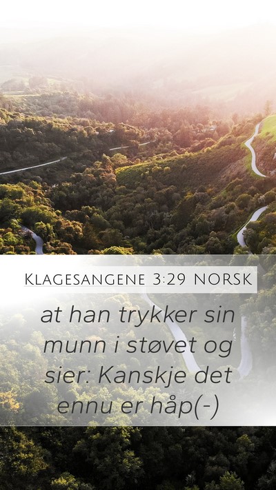 Klagesangene 3:29 NORSK Bible Verse Image