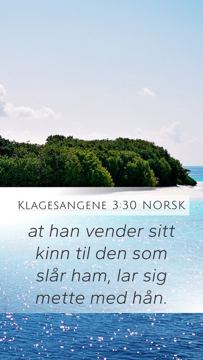 Klagesangene 3:30 NORSK Bible Verse Image