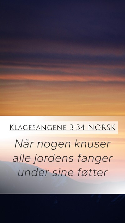 Klagesangene 3:34 NORSK Bible Verse Image