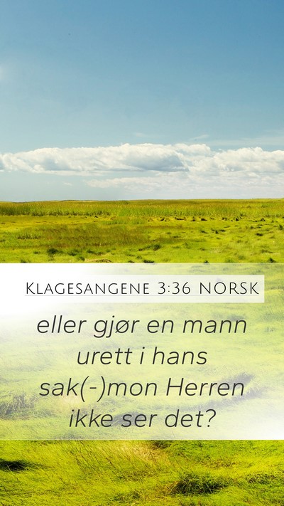 Klagesangene 3:36 NORSK Mobile Phone Wallpaper - eller gjør en mann urett i hans sak(-)mon Herren - Mobile Bible Verse Wallpaper