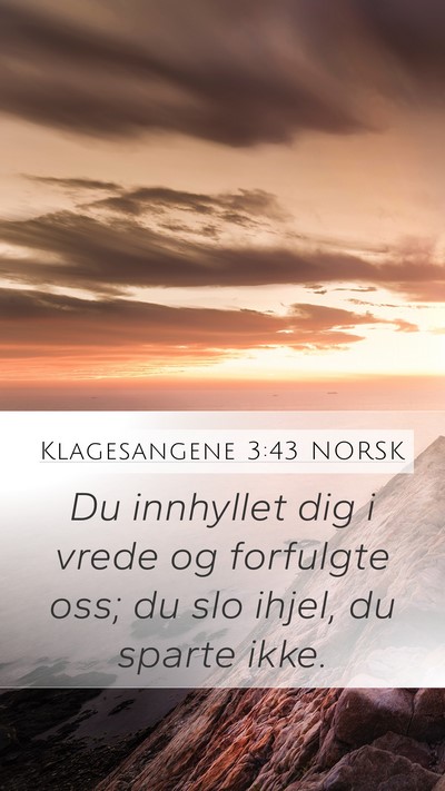 Klagesangene 3:43 NORSK Bible Verse Image