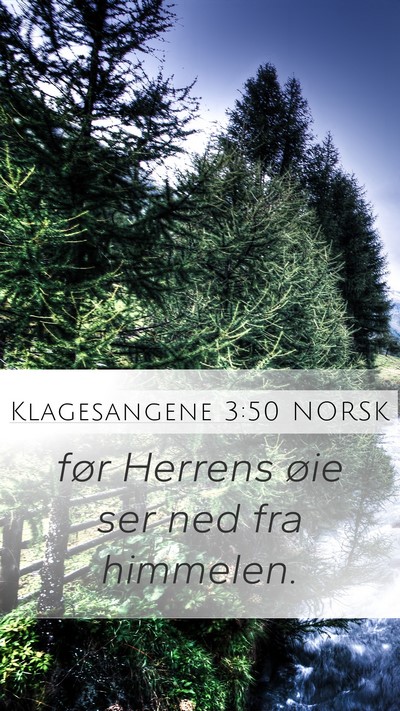 Klagesangene 3:50 NORSK Bible Verse Image