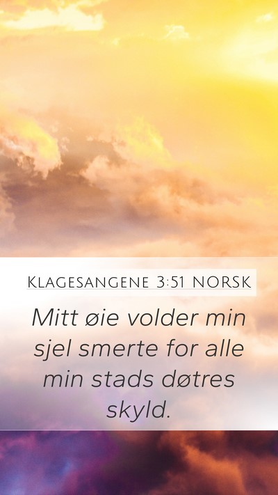 Klagesangene 3:51 NORSK Bible Verse Image