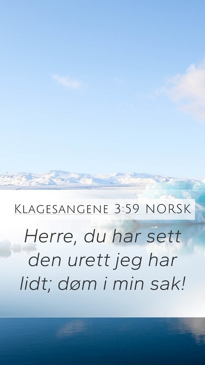 Klagesangene 3:59 NORSK Bible Verse Image