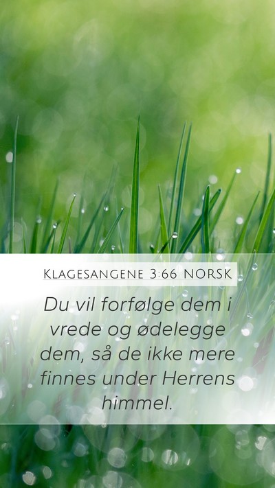 Klagesangene 3:66 NORSK Bible Verse Image