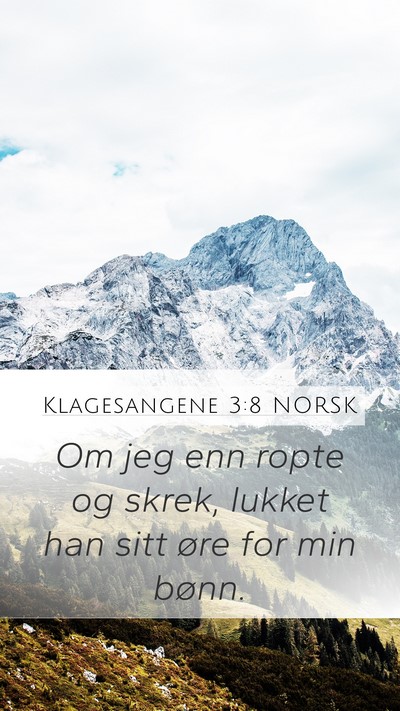 Klagesangene 3:8 NORSK Bible Verse Image