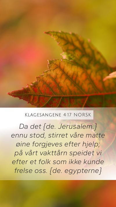 Klagesangene 4:17 NORSK Bible Verse Image