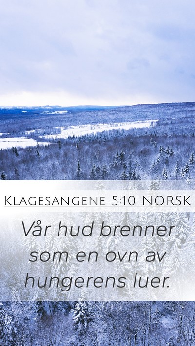 Klagesangene 5:10 NORSK Bible Verse Image