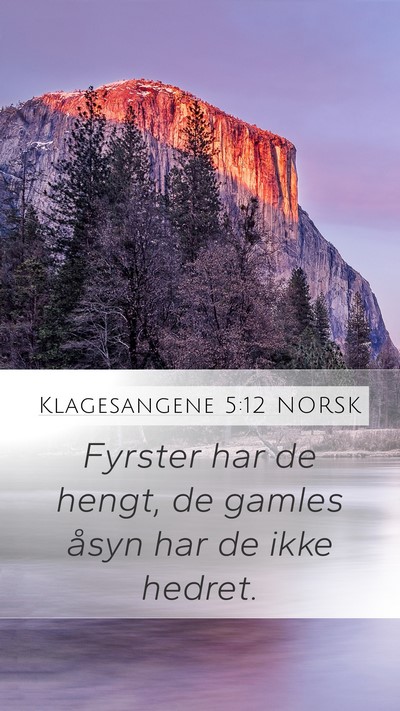 Klagesangene 5:12 NORSK Bible Verse Image