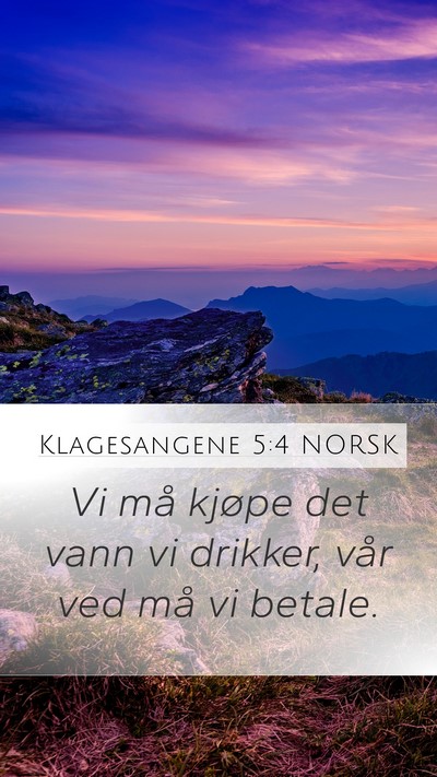 Klagesangene 5:4 NORSK Bible Verse Image