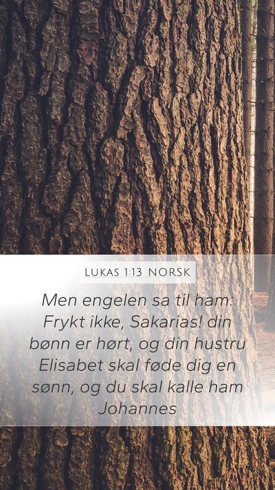 Lukas 1:13 NORSK Bible Verse Image