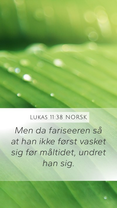 Lukas 11:38 NORSK Bible Verse Image
