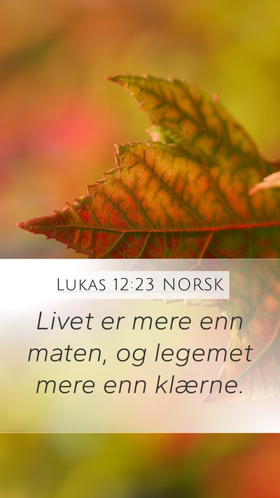 Lukas 12:23 NORSK Mobile Phone Wallpaper - Livet er mere enn maten, og legemet mere enn - Mobile Bible Verse Wallpaper