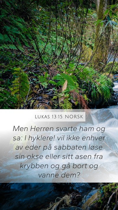 Lukas 13:15 NORSK Bible Verse Image