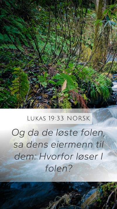 Lukas 19:33 NORSK Mobile Phone Wallpaper - Og da de løste folen, sa dens eiermenn til dem: - Mobile Bible Verse Wallpaper