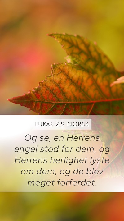 Lukas 2:9 NORSK Bible Verse Image