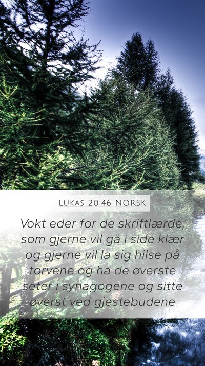 Lukas 20:46 NORSK Bible Verse Image