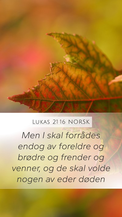 Lukas 21:16 NORSK Bible Verse Image