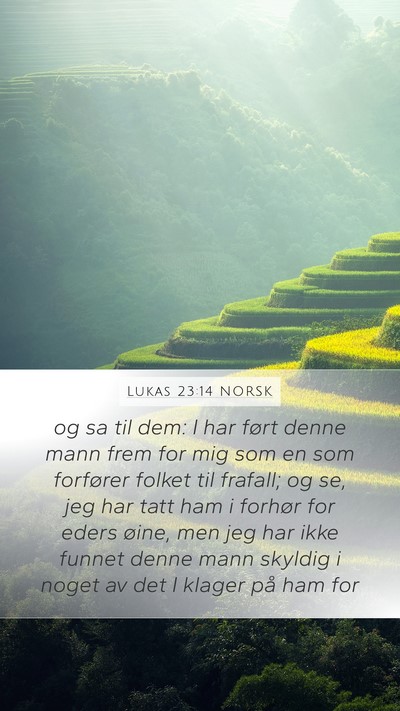 Lukas 23:14 NORSK Bible Verse Image