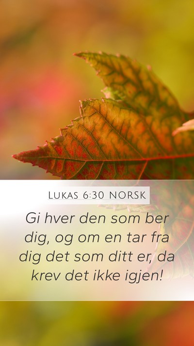 Lukas 6:30 NORSK Bible Verse Image