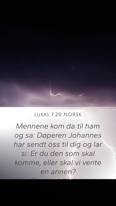 Lukas 7:20 NORSK Mobile Phone Wallpaper - Mennene kom da til ham og sa: Døperen Johannes - Mobile Bible Verse Wallpaper