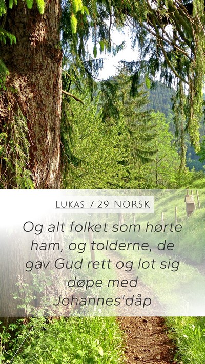 Lukas 7:29 NORSK Bible Verse Image