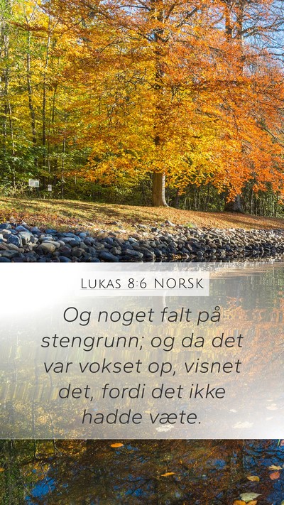 Lukas 8:6 NORSK Mobile Phone Wallpaper - Og noget falt på stengrunn; og da det var vokset - Mobile Bible Verse Wallpaper