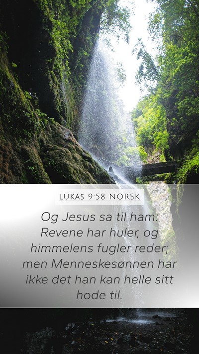 Lukas 9:58 NORSK Bible Verse Image