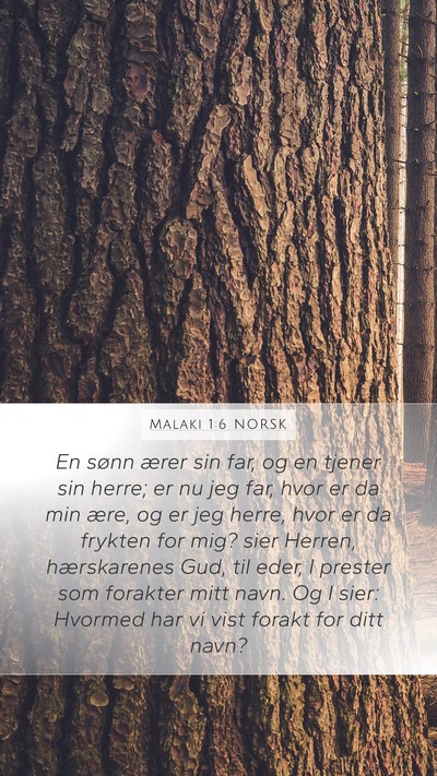 Malaki 1:6 NORSK Bible Verse Image