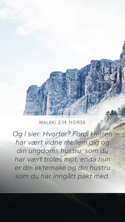 Malaki 2:14 NORSK Bible Verse Image