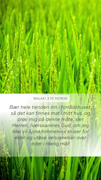 Malaki 3:10 NORSK Bible Verse Image