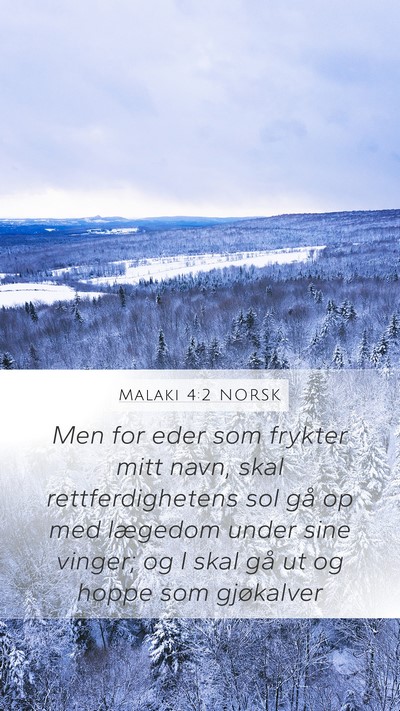 Malaki 4:2 NORSK Bible Verse Image