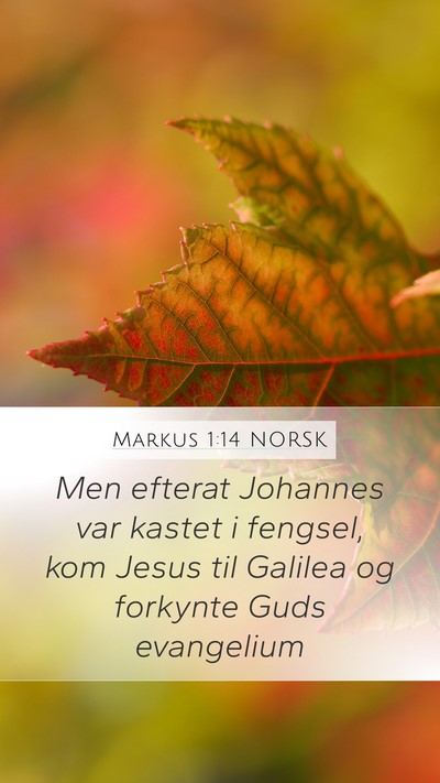 Markus 1:14 NORSK Bible Verse Image
