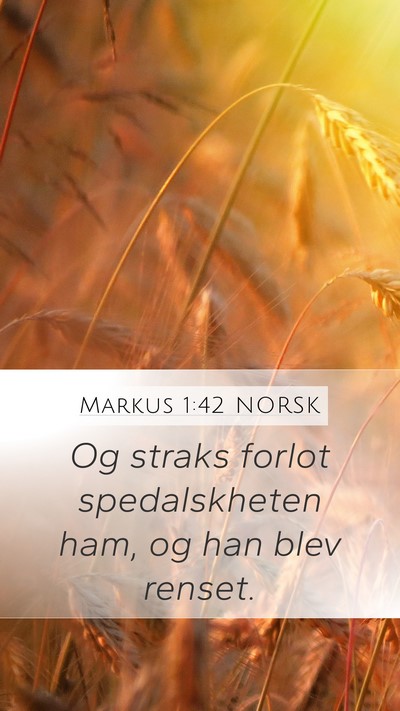Markus 1:42 NORSK Mobile Phone Wallpaper - Og straks forlot spedalskheten ham, og han blev - Mobile Bible Verse Wallpaper