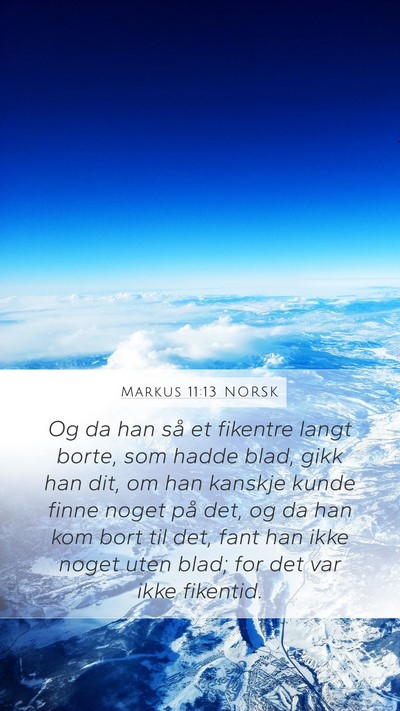 Markus 11:13 NORSK Mobile Phone Wallpaper - Og da han så et fikentre langt borte, som hadde - Mobile Bible Verse Wallpaper