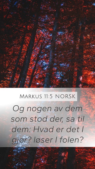 Markus 11:5 NORSK Mobile Phone Wallpaper - Og nogen av dem som stod der, sa til dem: Hvad er - Mobile Bible Verse Wallpaper