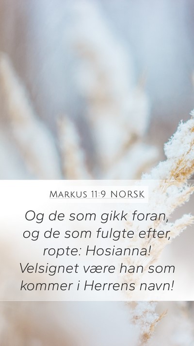 Markus 11:9 NORSK Bible Verse Image