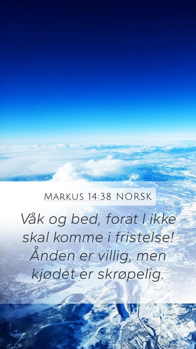Markus 14:38 NORSK Bible Verse Image