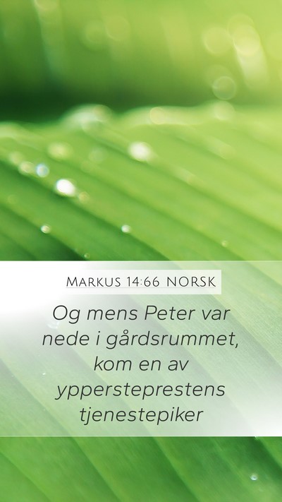 Markus 14:66 NORSK Bible Verse Image