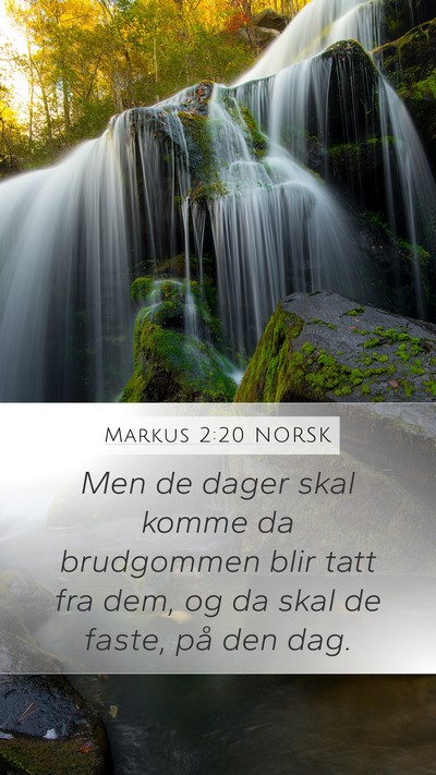 Markus 2:20 NORSK Bible Verse Image