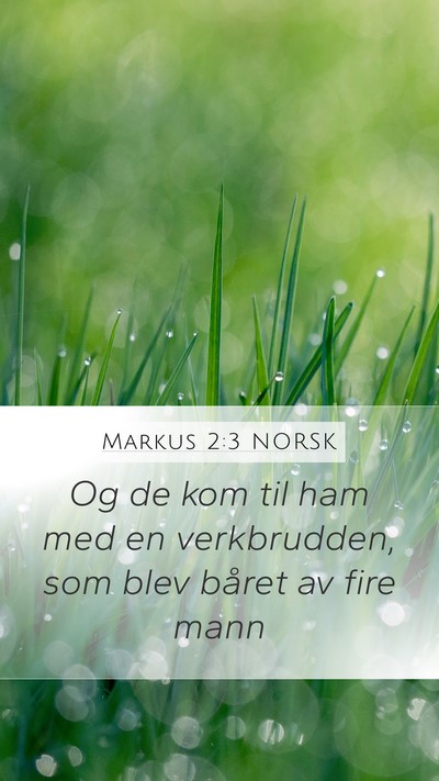 Markus 2:3 NORSK Mobile Phone Wallpaper - Og de kom til ham med en verkbrudden, som blev - Mobile Bible Verse Wallpaper