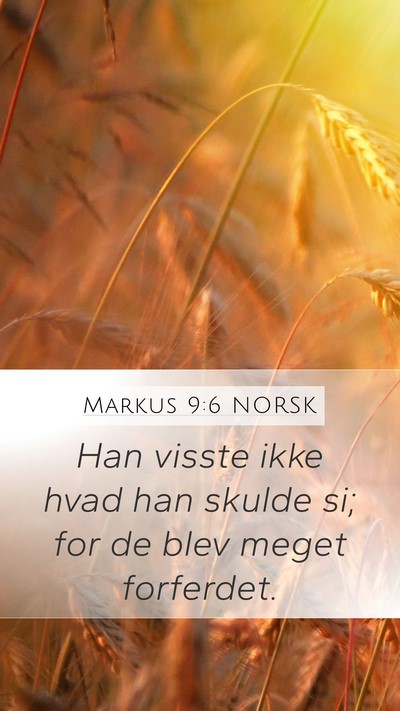 Markus 9:6 NORSK Bible Verse Image