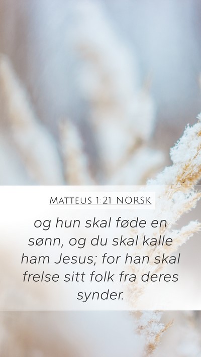 Matteus 1:21 NORSK Bible Verse Image