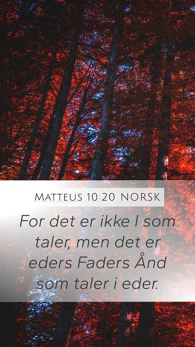 Matteus 10:20 NORSK Mobile Phone Wallpaper - For det er ikke I som taler, men det er eders - Mobile Bible Verse Wallpaper