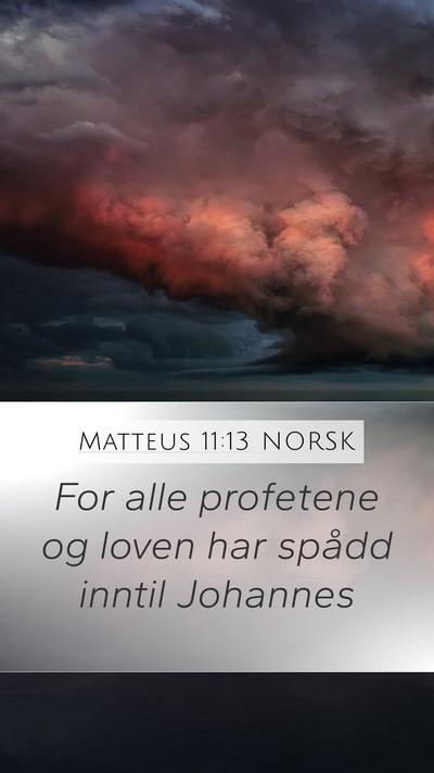 Matteus 11:13 NORSK Bible Verse Image