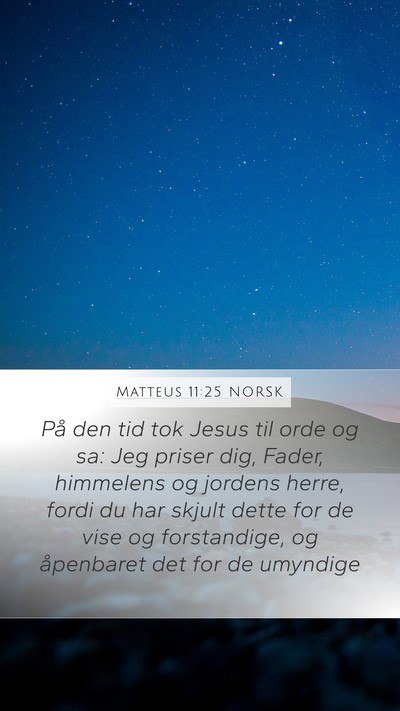 Matteus 11:25 NORSK Bible Verse Image