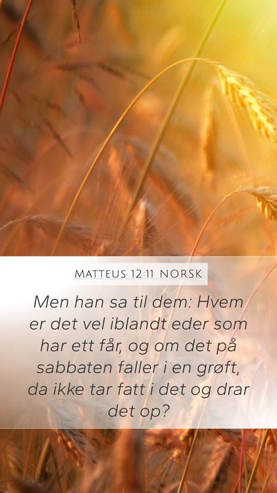 Matteus 12:11 NORSK Bible Verse Image