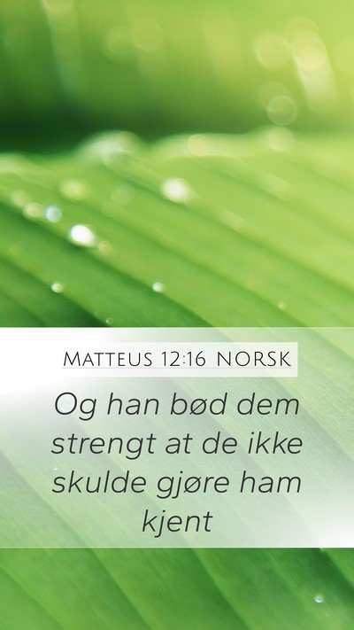 Matteus 12:16 NORSK Bible Verse Image