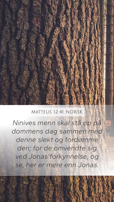 Matteus 12:41 NORSK Bible Verse Image
