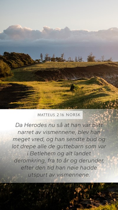 Matteus 2:16 NORSK Bible Verse Image